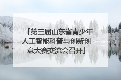 第三届山东省青少年人工智能科普与创新创意大赛交流会召开