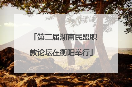第三届湖南民盟职教论坛在衡阳举行