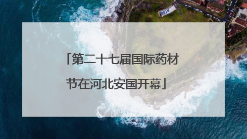 第二十七届国际药材节在河北安国开幕