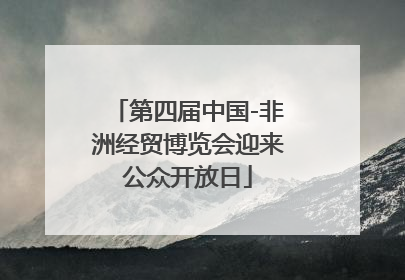 第四届中国-非洲经贸博览会迎来公众开放日