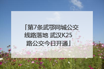 第7条武鄂同城公交线路落地 武汉K25路公交今日开通