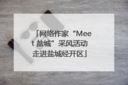 网络作家“Meet 盐城”采风活动走进盐城经开区
