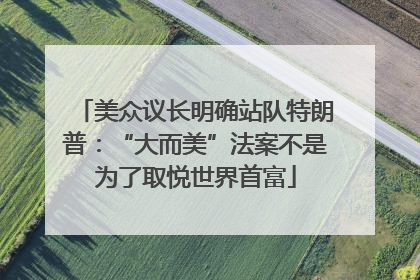 美众议长明确站队特朗普：“大而美”法案不是为了取悦世界首富