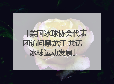 美国冰球协会代表团访问黑龙江 共话冰球运动发展