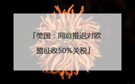 美国：同意推迟对欧盟征收50%关税