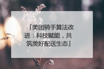 美团骑手算法改进：科技赋能，共筑美好配送生态