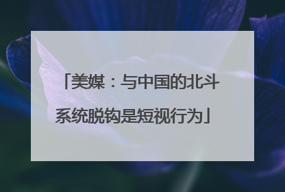 美媒：与中国的北斗系统脱钩是短视行为
