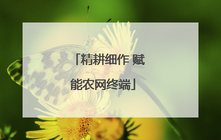 精耕细作 赋能农网终端