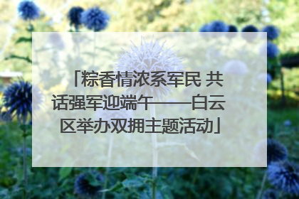 粽香情浓系军民 共话强军迎端午——白云区举办双拥主题活动