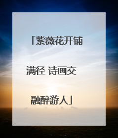 紫薇花开铺满径 诗画交融醉游人