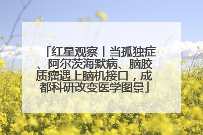 红星观察丨当孤独症、阿尔茨海默病、脑胶质瘤遇上脑机接口，成都科研改变医学图景