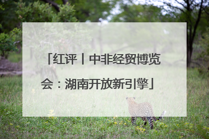 红评丨中非经贸博览会：湖南开放新引擎