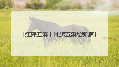 红评五溪丨潮起五溪绘新篇