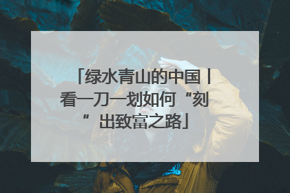 绿水青山的中国丨看一刀一划如何“刻”出致富之路