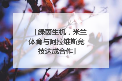 绿茵生机，米兰体育与阿拉维斯竞技达成合作