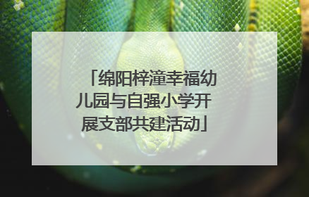 绵阳梓潼幸福幼儿园与自强小学开展支部共建活动