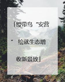 绶带鸟“安营” 绘就生态增收新景致