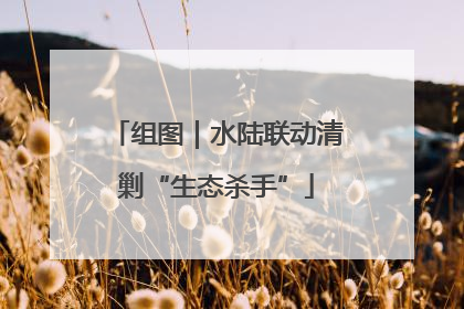 组图｜水陆联动清剿“生态杀手”