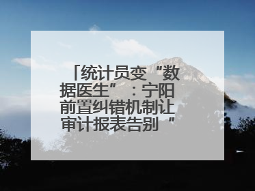统计员变“数据医生”：宁阳前置纠错机制让审计报表告别“带病上岗”