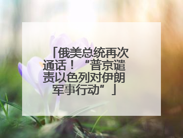 俄美总统再次通话！“普京谴责以色列对伊朗军事行动”