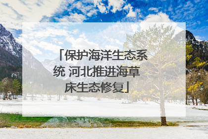 保护海洋生态系统 河北推进海草床生态修复