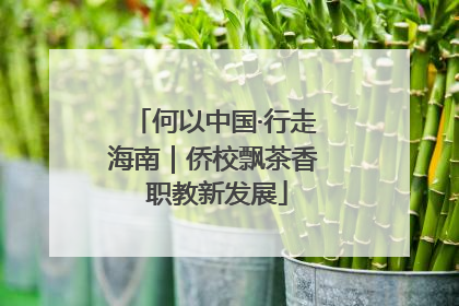 何以中国·行走海南｜侨校飘茶香 职教新发展