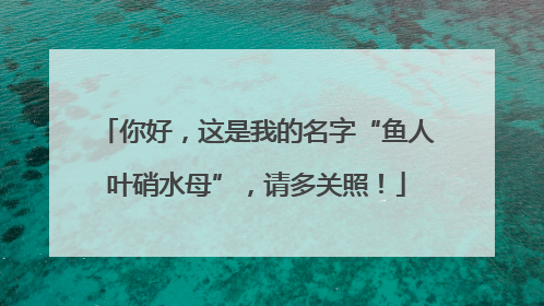你好，这是我的名字“鱼人叶硝水母”，请多关照！