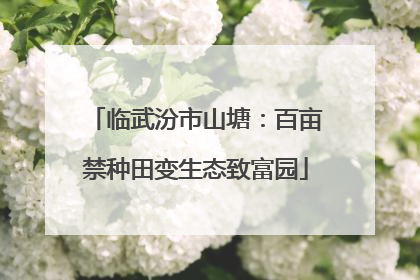 临武汾市山塘：百亩禁种田变生态致富园