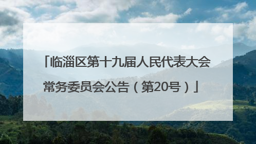 临淄区第十九届人民代表大会常务委员会公告（第20号）