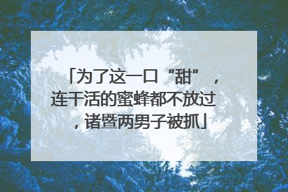 为了这一口“甜”，连干活的蜜蜂都不放过，诸暨两男子被抓