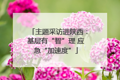 主题采访进陕西：基层有“智”理 应急“加速度”