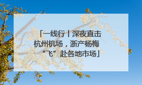 一线行丨深夜直击杭州机场，浙产杨梅“飞”赴各地市场