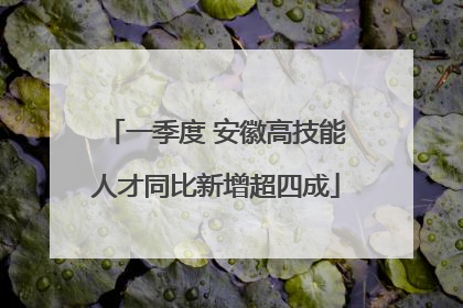 一季度 安徽高技能人才同比新增超四成