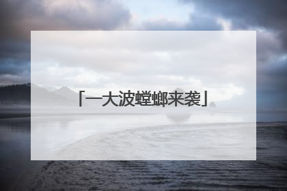 一大波螳螂来袭