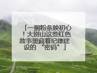 一捆粉条映初心！大别山这些红色故事里藏着纪律建设的 “密码”