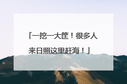 一挖一大筐！很多人来日照这里赶海！