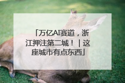 万亿AI赛道，浙江押注第二城！｜这座城市有点东西