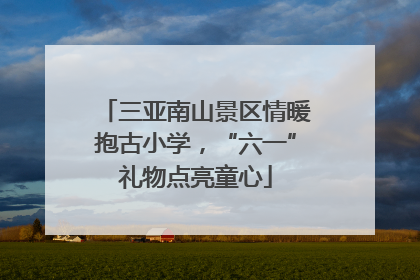 三亚南山景区情暖抱古小学，“六一”礼物点亮童心