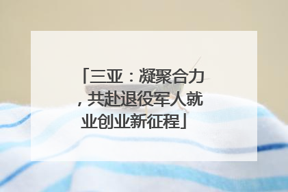 三亚：凝聚合力，共赴退役军人就业创业新征程