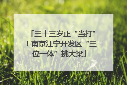 三十三岁正“当打”！南京江宁开发区“三位一体”挑大梁