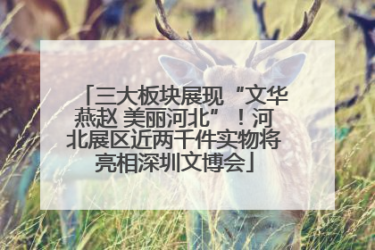 三大板块展现“文华燕赵 美丽河北”！河北展区近两千件实物将亮相深圳文博会