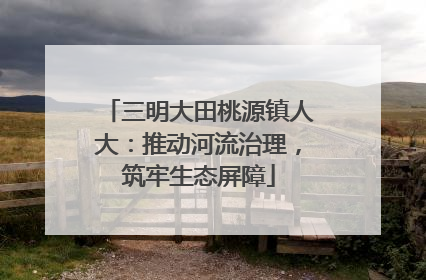 三明大田桃源镇人大：推动河流治理，筑牢生态屏障