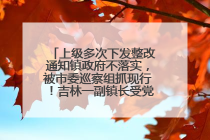 上级多次下发整改通知镇政府不落实，被市委巡察组抓现行！吉林一副镇长受党内警告处分