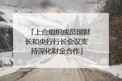 上合组织成员国财长和央行行长会议支持深化财金合作