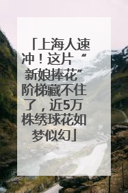 上海人速冲！这片“新娘捧花”阶梯藏不住了，近5万株绣球花如梦似幻