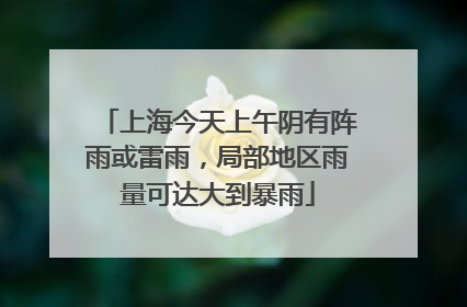 上海今天上午阴有阵雨或雷雨，局部地区雨量可达大到暴雨