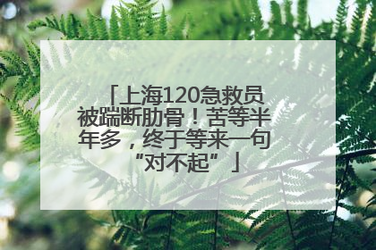 上海120急救员被踹断肋骨！苦等半年多，终于等来一句“对不起”