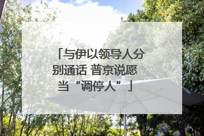 与伊以领导人分别通话 普京说愿当“调停人”