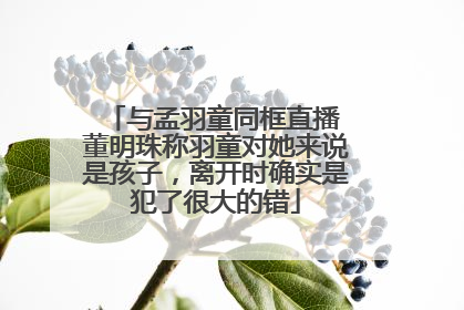 与孟羽童同框直播 董明珠称羽童对她来说是孩子，离开时确实是犯了很大的错