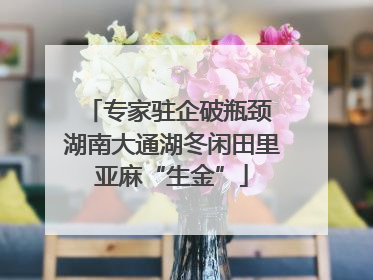 专家驻企破瓶颈 湖南大通湖冬闲田里亚麻“生金”